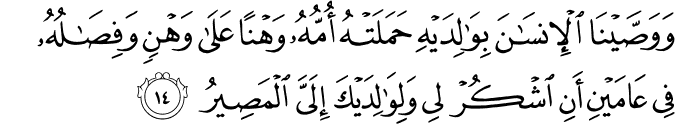  Surat Luqmān (Luqman) - سورة لقمان 31:14 