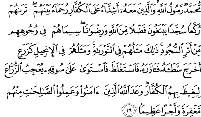 Berkata Hati Surah Ali Imran Ayat 154 And Surah Al Fath Ayat 29